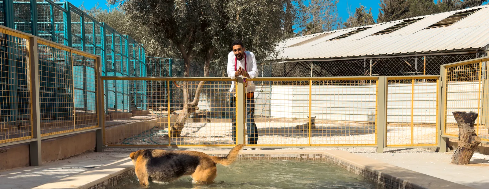 A dog mid-stroke in the pool with a handler crouched at the poolside watching
