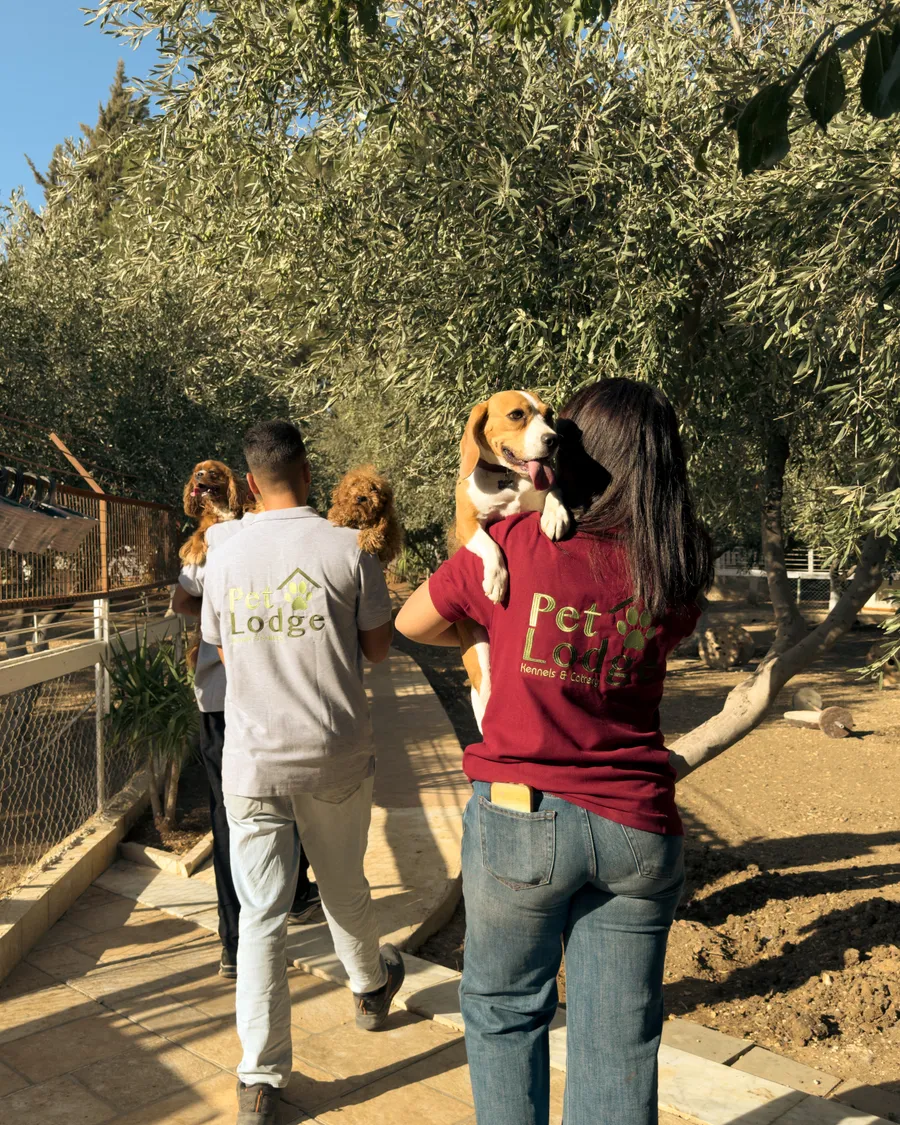 Two Pet Lodge handlers in branded shirts crouching with a group of dogs on the grounds