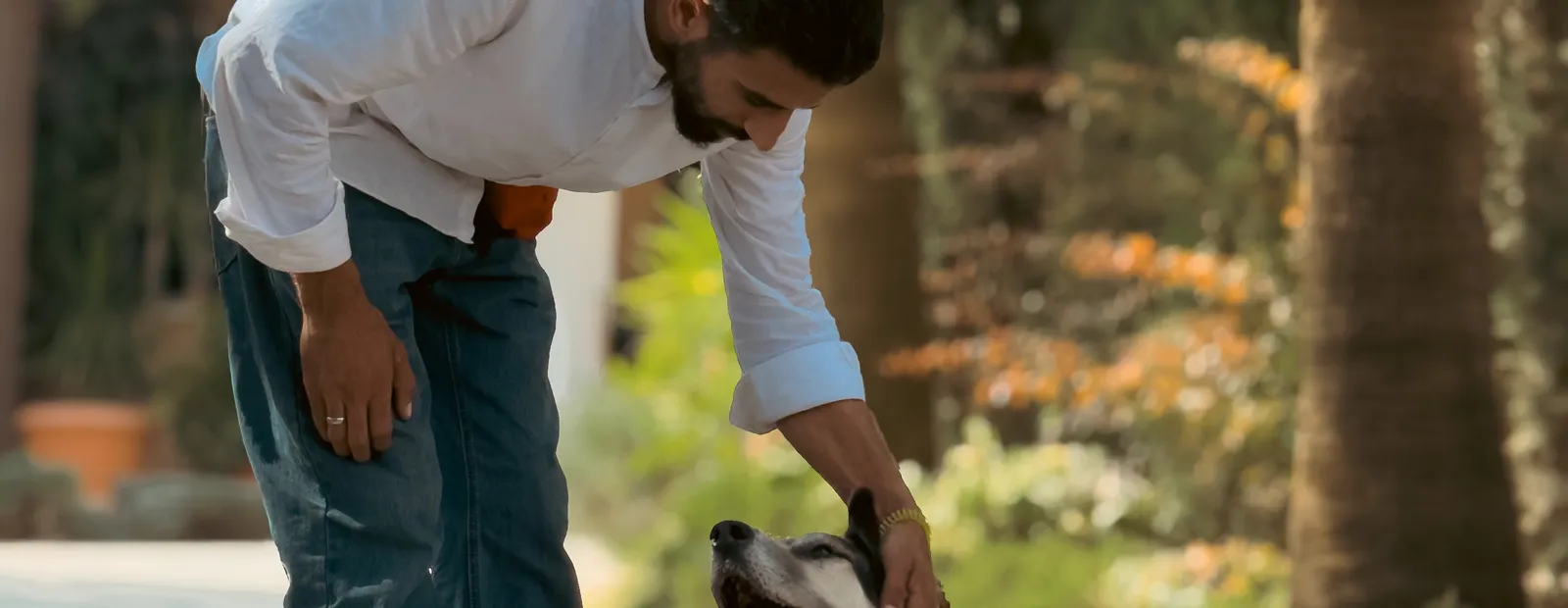 Mahdi giving a hand cue to a husky sitting attentively on the grounds at Pet Lodge